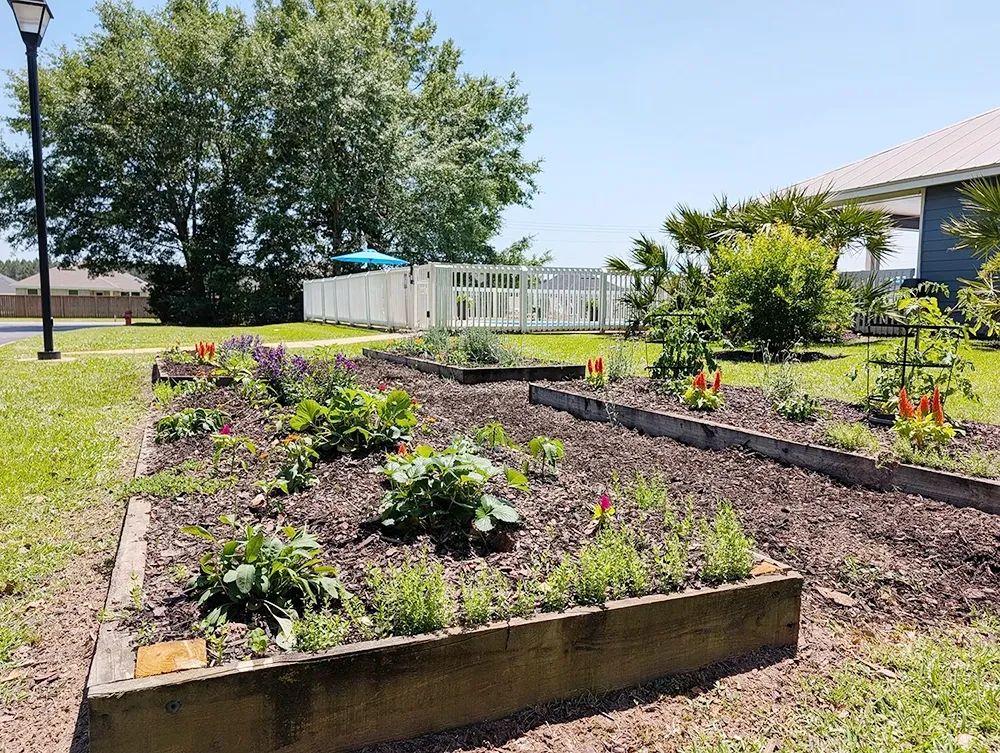 Community Garden